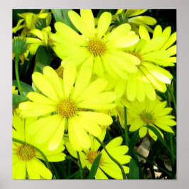 Impresión de diarios africanos