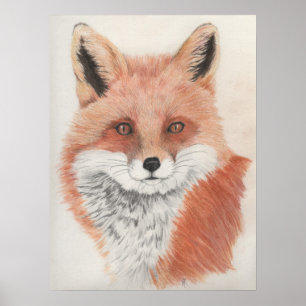 Impresión de dibujo de lápiz de color rojo Fox