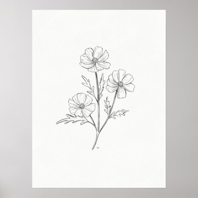 Impresión de dibujo de lápiz de Cosmo (Frente)