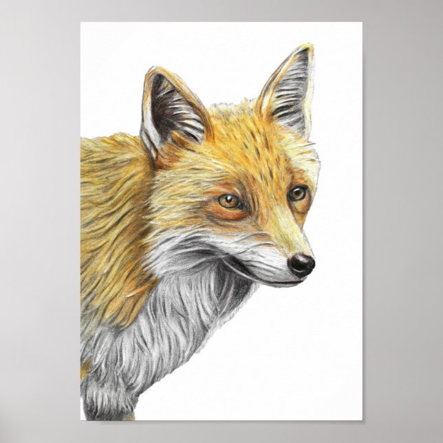 Impresión de dibujo de lápiz rojo Fox de A4 (Frente)