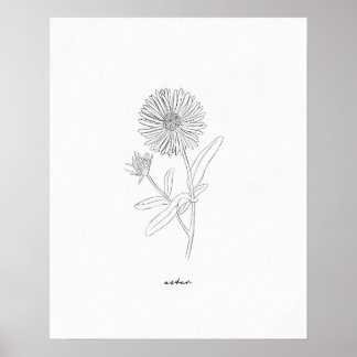 Impresión de dibujo de línea de Aster - Flor de ti