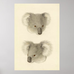 Impresión de dibujo grande de color de agua de Koa