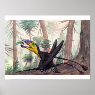 Impresión de Dimorphodon