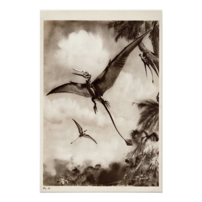 Impresión de dinosaurio vintage #3 (Anverso)