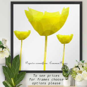 Impresión de disquete