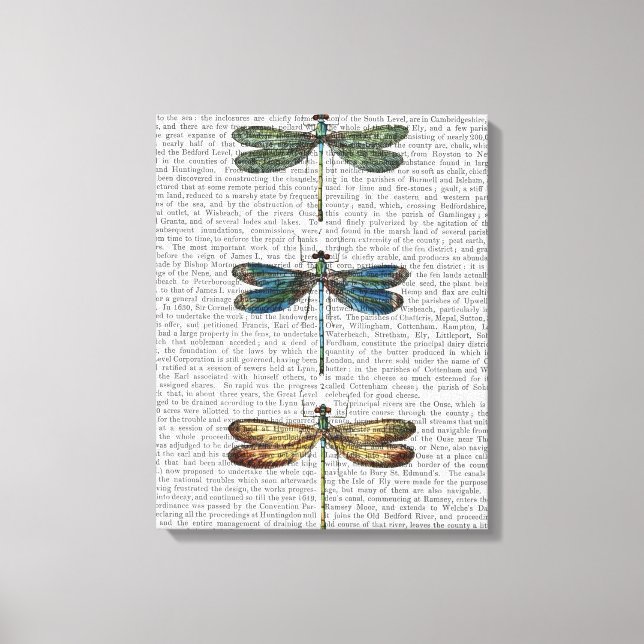Impresión de Dragonflies (Anverso)