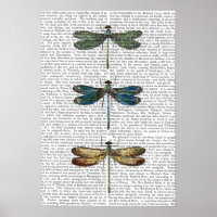 Impresión de Dragonflies