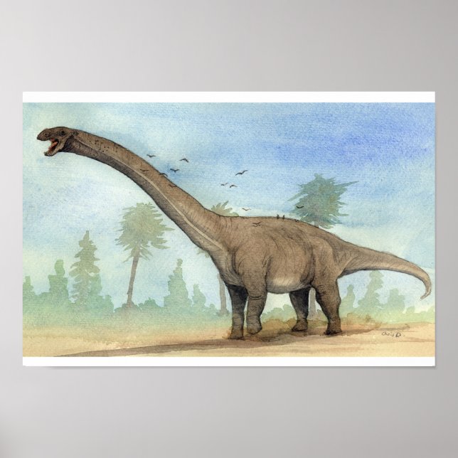 Impresión de Dreadnoughtus (Frente)