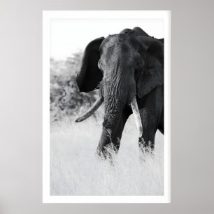 Impresión de elefante en blanco y negro - Minimali