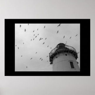 Impresión de faro de Cleveland y gaviotas