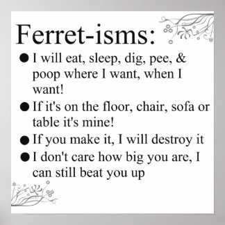 Impresión de Ferret-isms & Sayings