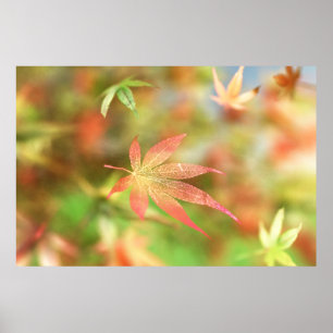 Impresión de filigrí de otoño