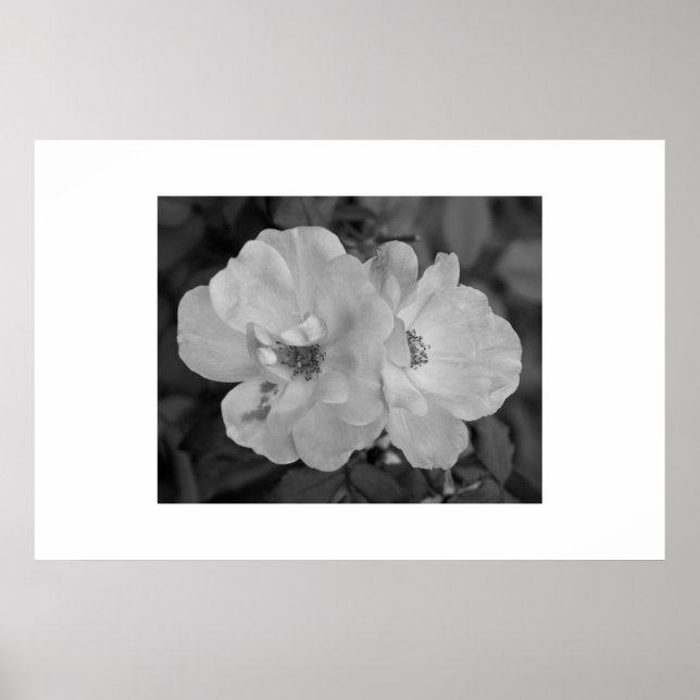 Impresión de flor (Frente)