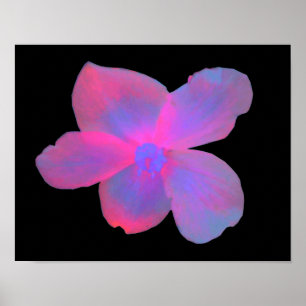 Impresión de flor de Begonia fluorescente