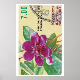 Impresión de flor de Sri Lanka vintage - Sello pos