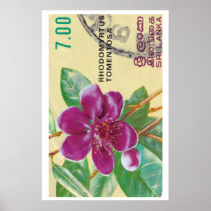 Impresión de flor de Sri Lanka vintage - Sello pos