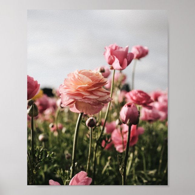 Impresión de flor, papel de cartel de valor (semi  (Frente)