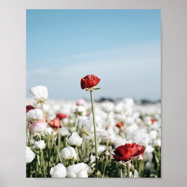 Impresión de flor roja, papel de póster de valor ( (Frente)
