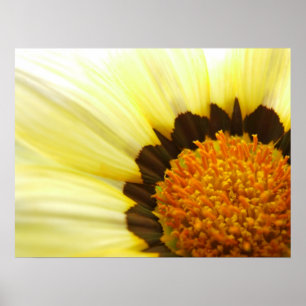 Impresión de flores amarillas