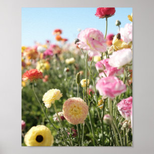 Impresión de flores coloridas, papel de cartel (se
