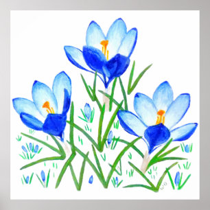 Impresión de flores de crocus azules