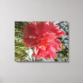 Impresión de flores de Hibiscus @3dudes1life