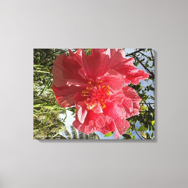 Impresión de flores de Hibiscus @3dudes1life (Anverso)