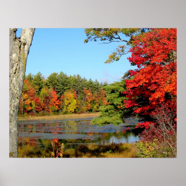 Impresión de follaje de octubre (Frente)