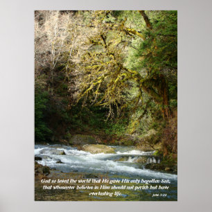 Impresión de Forest & Rushing River John 3:16