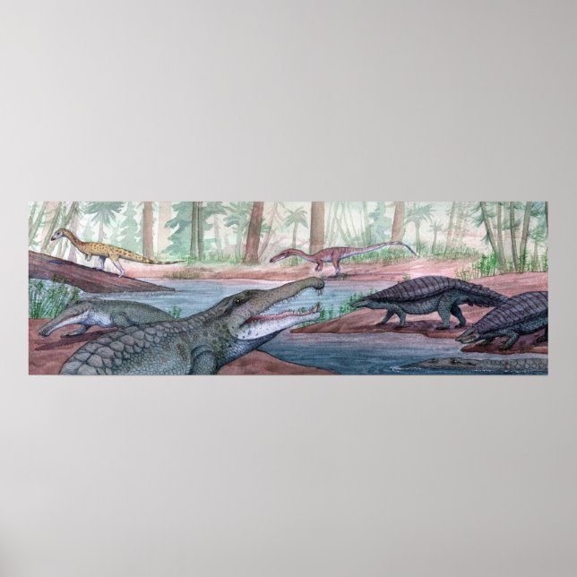 Impresión de formación de Redonda (Frente)