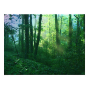 Impresión de foto de fertilidad