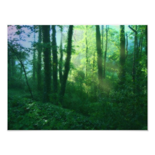 Impresión de foto de fertilidad (Frente)