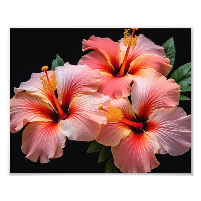 Impresión de Foto de Flores Tropicales (Frente)