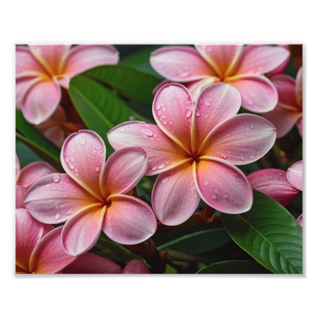 Impresión de foto de flores tropicales (Frente)
