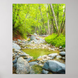 Impresión de foto de Forest Creek | Arte de bosque