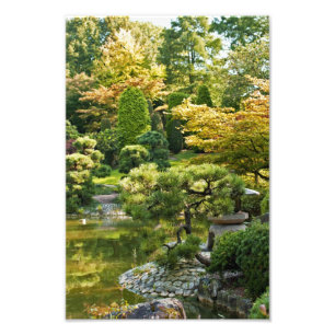 Impresión de foto de jardín japonés