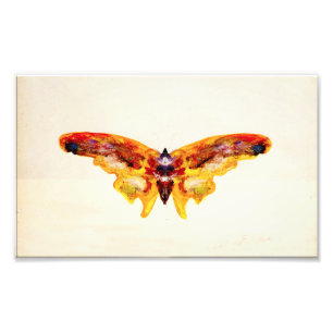 Impresión de foto de mariposa amarilla y púrpura v