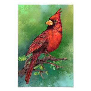 Impresión de foto de pájaro del cardenal rojo del