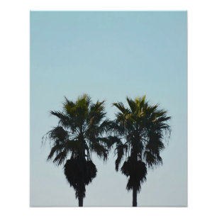 Impresión de foto de palmeras de verano 16x20