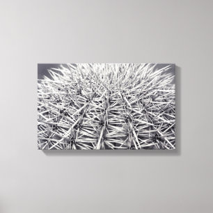 Impresión de foto de Pricky Cactus Sonoran Desert 