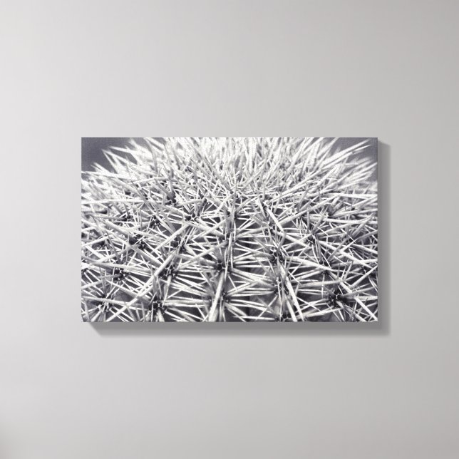 Impresión de foto de Pricky Cactus Sonoran Desert  (Anverso)