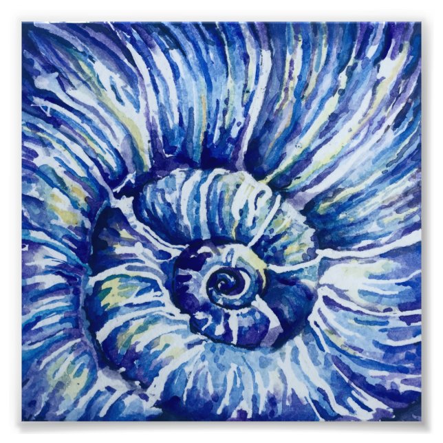 Impresión de foto de shell de color de agua (Frente)