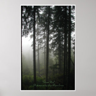 Impresión de foto forestal "FOREST MIST"