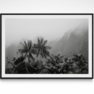 Impresión de fotografía de palmas vírgenes tropica