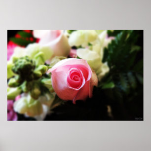 impresión de fotografía de rosa rosa única