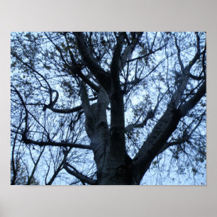 Impresión de fotografía de silueta de árbol