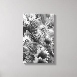 Impresión de fotografías de B&W en el desierto de 