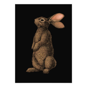 Impresión de fotografías de conejo