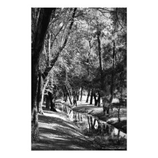 Impresión de fotografías de Park Stream B&W