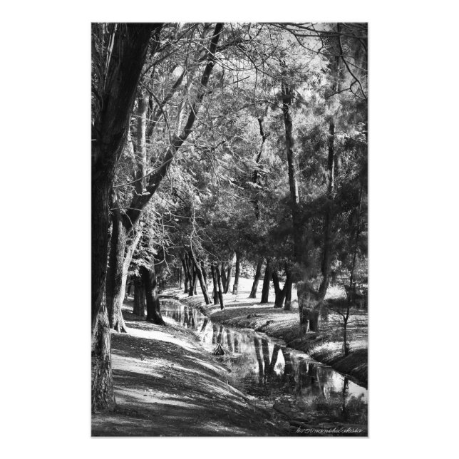 Impresión de fotografías de Park Stream B&W (Frente)